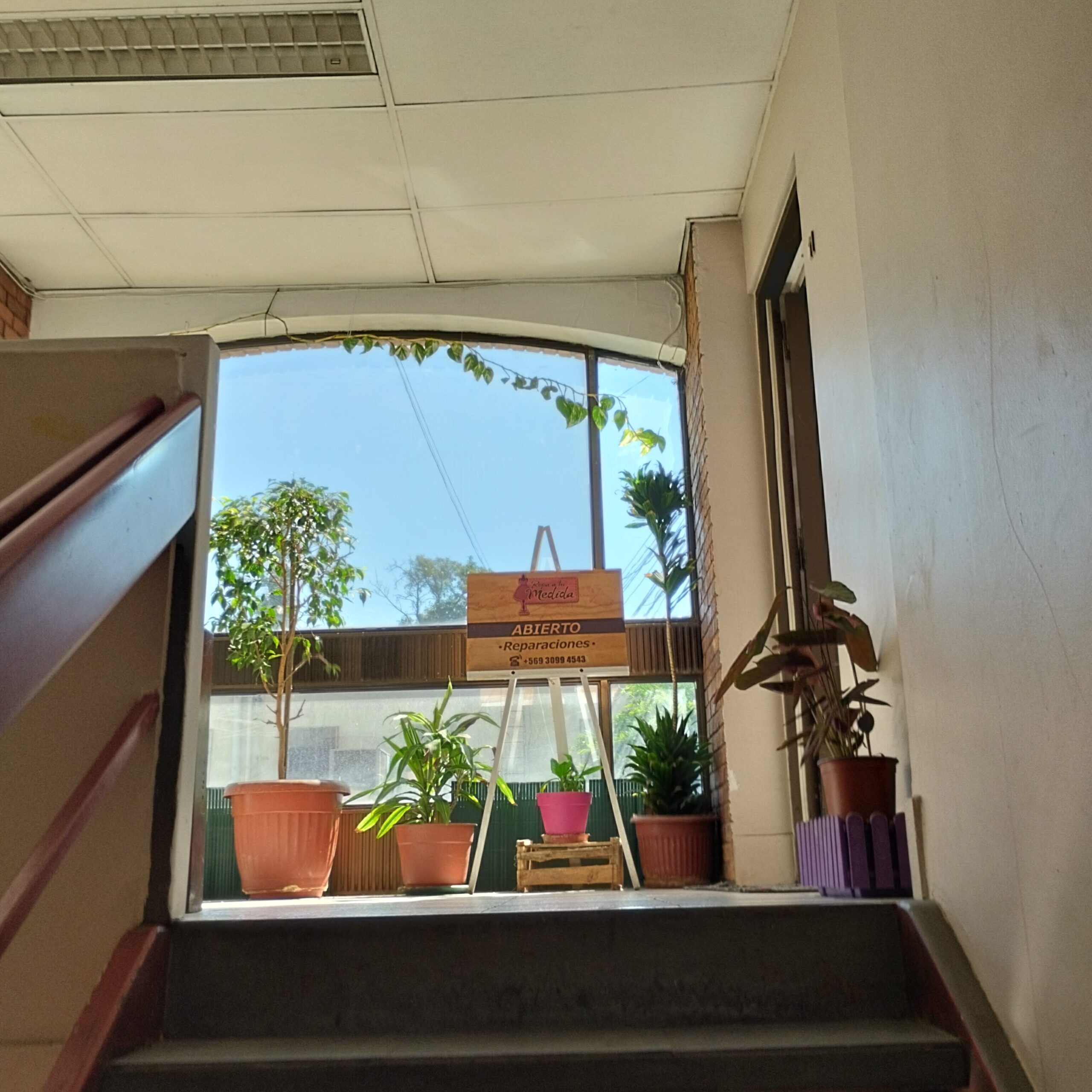 reparacion de ropa 1