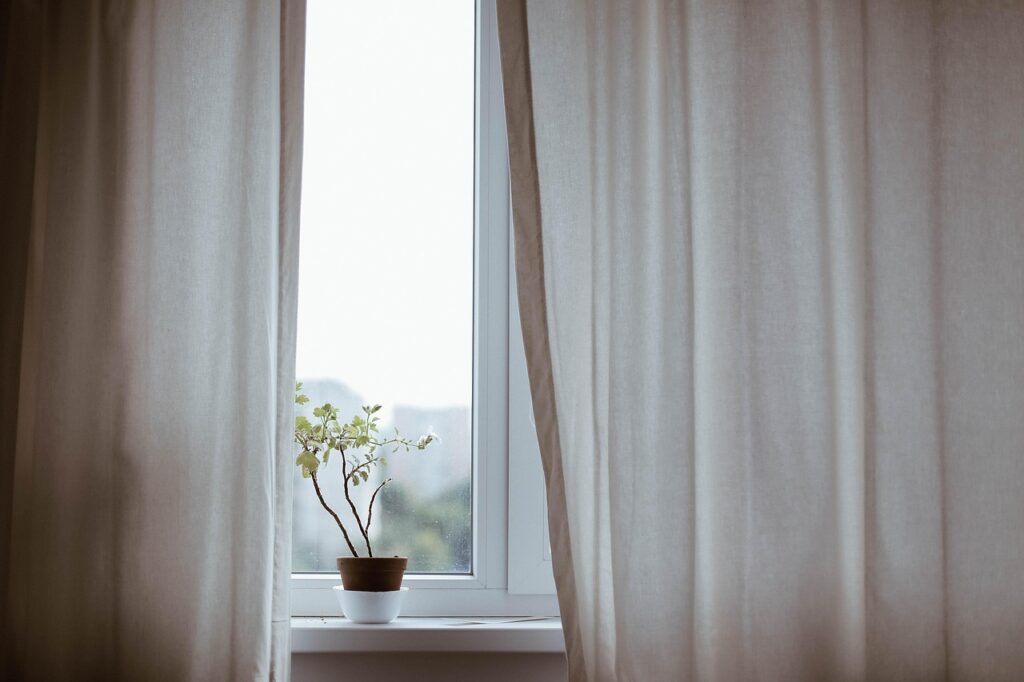 curtains, nature, decoration, indoors, plant, potted plant, window, minimalist, minimalistic, interior decoration, indoor plant