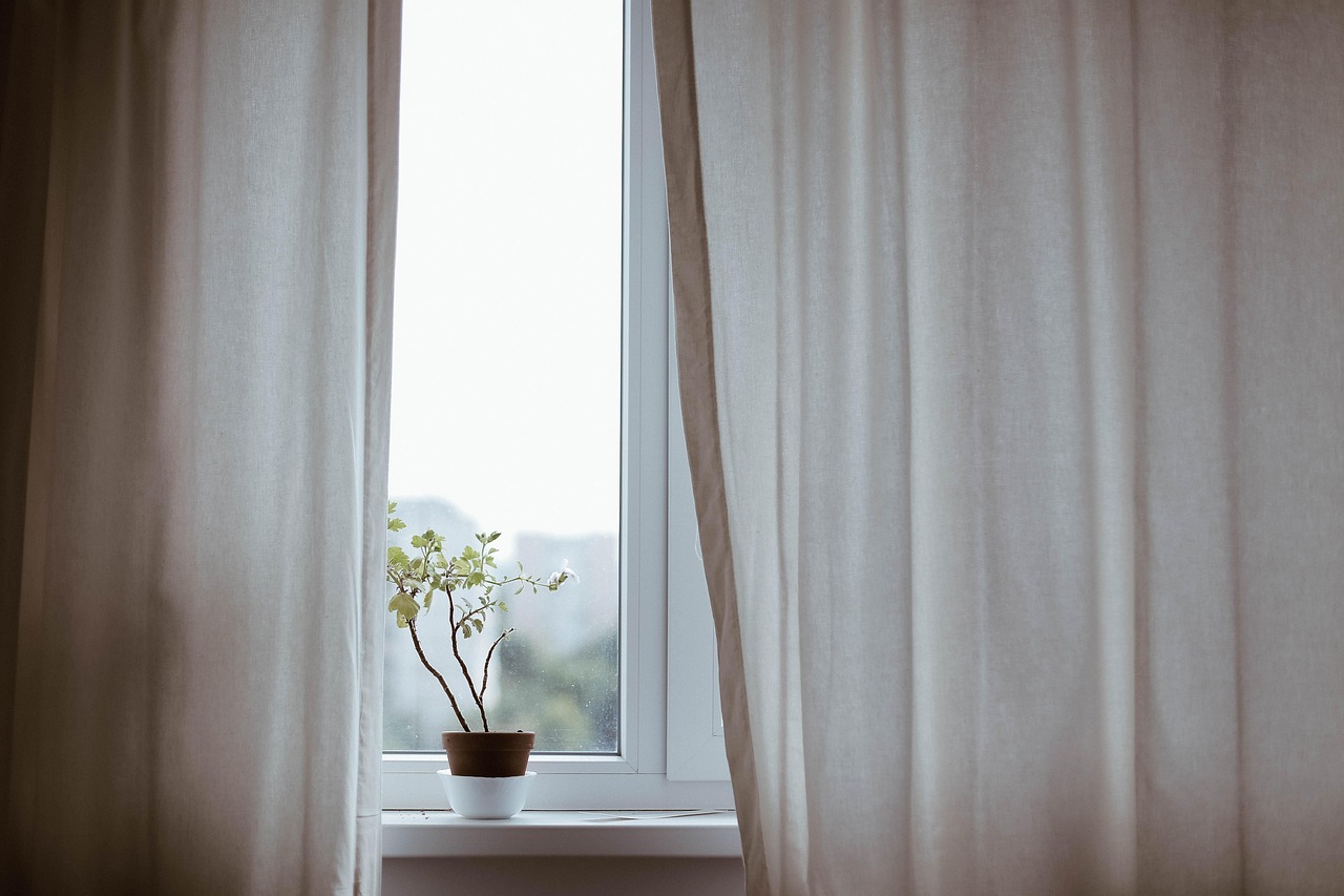 curtains, nature, decoration, indoors, plant, potted plant, window, minimalist, minimalistic, interior decoration, indoor plant